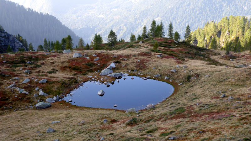 Laghi.......del TRENTINO